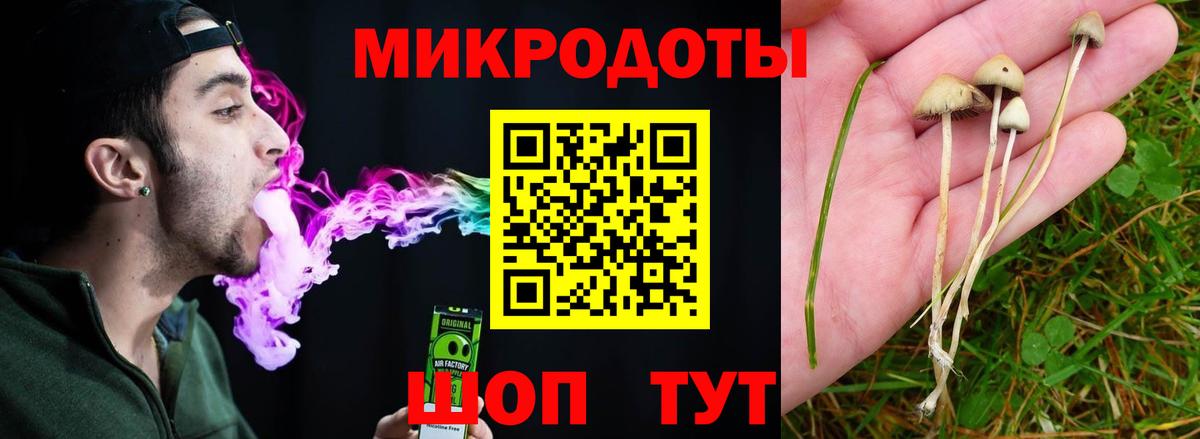 Псилоцибиновые грибы Psilocybine cubensis Конаково