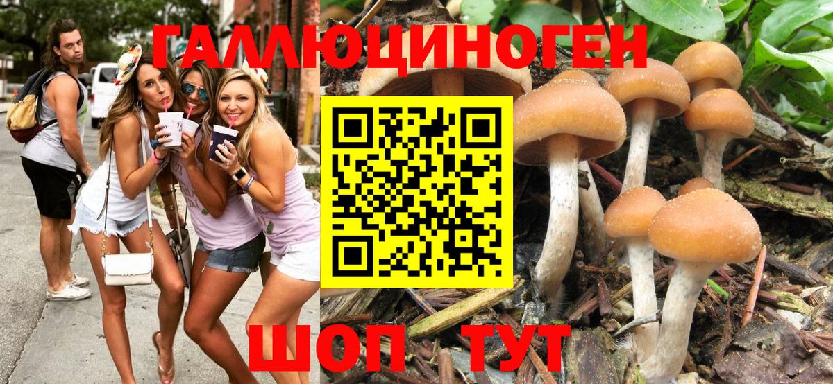Псилоцибиновые грибы ЛСД  Псилоцибиновые грибы мухоморы  Конаково  Вход с VPN 